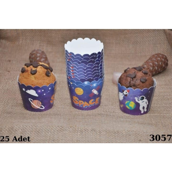 Kapsül 25 Li̇ Uzay
